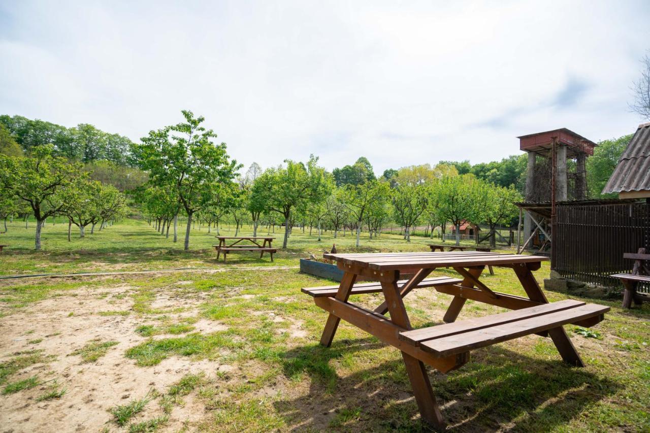 La Padure Hotel Brebu Ngoại thất bức ảnh
