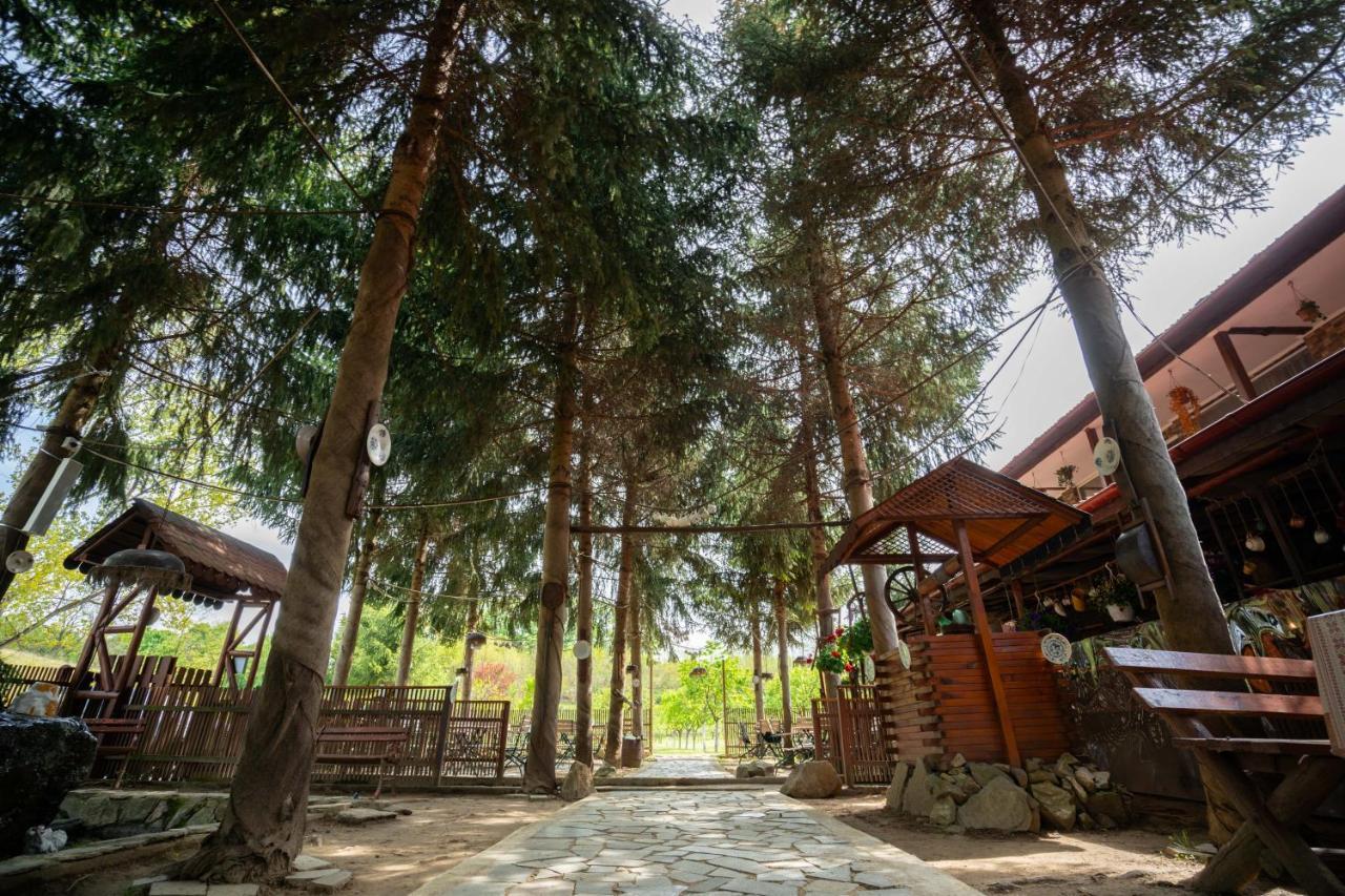 La Padure Hotel Brebu Ngoại thất bức ảnh